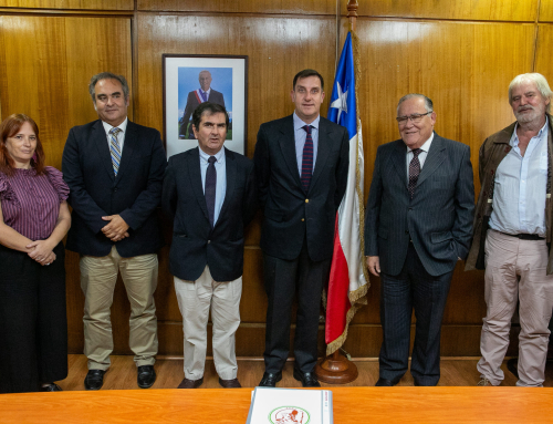 Fedecarne plantea al Ministerio de Agricultura medidas para fortalecer la ganadería nacional