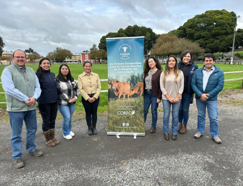 Sector bovino del sur proyecta su desarrollo con mirada de largo plazo