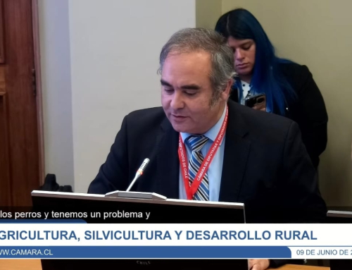 Agrollanquihue expone ante Comisión de Agricultura por impacto de perros asilvestrados