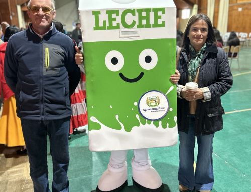 Agrollanquihue participa en celebraciones educativas por el Día de la Leche y la Papa en Los Muermos y Fresia