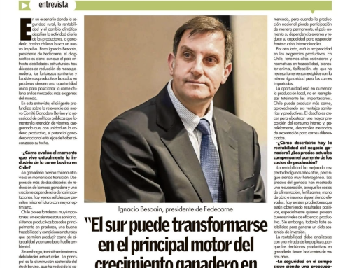 Ignacio Besoain aborda los desafíos y oportunidades de la ganadería bovina en entrevista con Campo Sureño