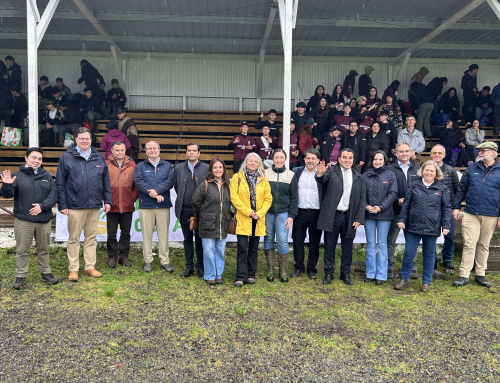 Agrollanquihue participó en los Juegos del Agro 2026 que reunieron a 500 estudiantes en Osorno