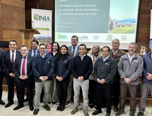 Agrollanquihue participa en proyecto que logra reducir en un 12% las emisiones de metano en vacas lecheras